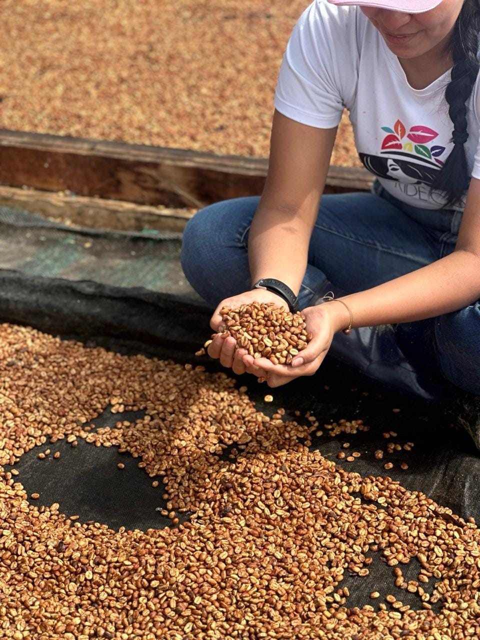 Diversidad Tolima cafe amor a tiempo